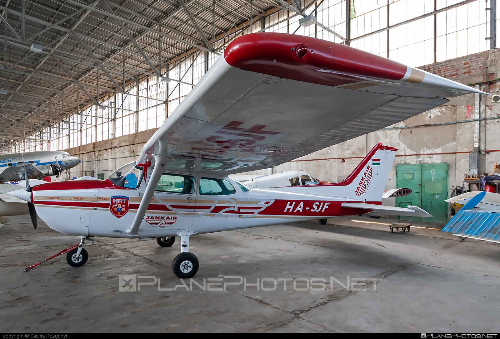 Cessna 172N Skyhawk II - HA-SJF operated by Private operator #cessna #cessna172 #cessna172n #cessna172nskyhawk #cessna172skyhawk #cessnaskyhawk