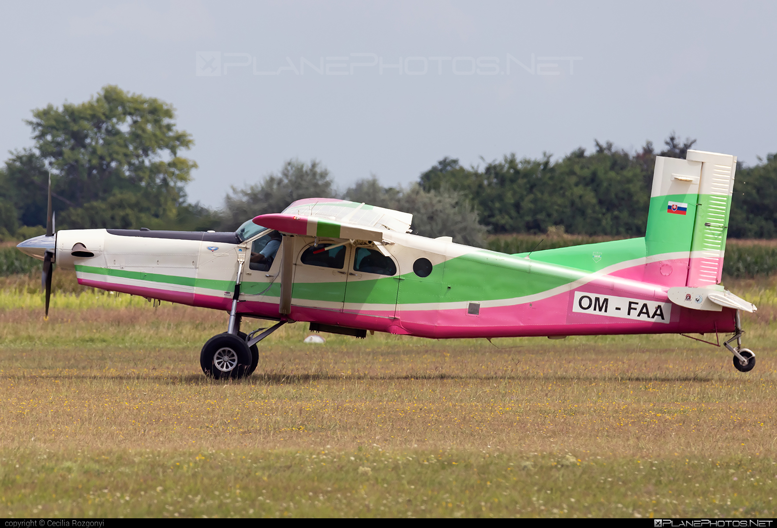 Pilatus PC-6/B2-H4 Turbo Porter - OM-FAA operated by FENIX AIR s.r.o #fenixair #fenixairsro #pilatus