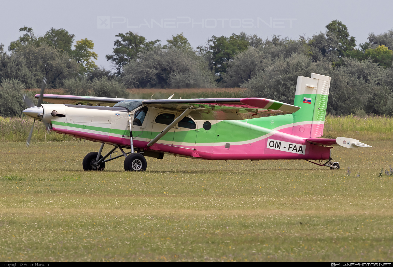 Pilatus PC-6/B2-H4 Turbo Porter - OM-FAA operated by FENIX AIR s.r.o #fenixair #fenixairsro #pilatus