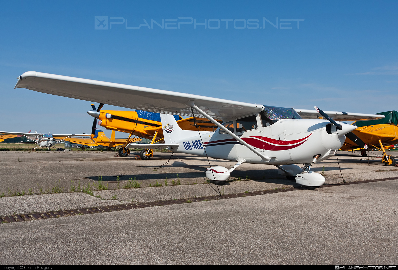 Cessna 172S Skyhawk SP - OM-NRE operated by AERO SLOVAKIA #aeroslovakia #cessna #cessna172 #cessna172s #cessna172skyhawk #cessna172sskyhawk #cessnaskyhawk #cessnaskyhawksp #skyhawksp