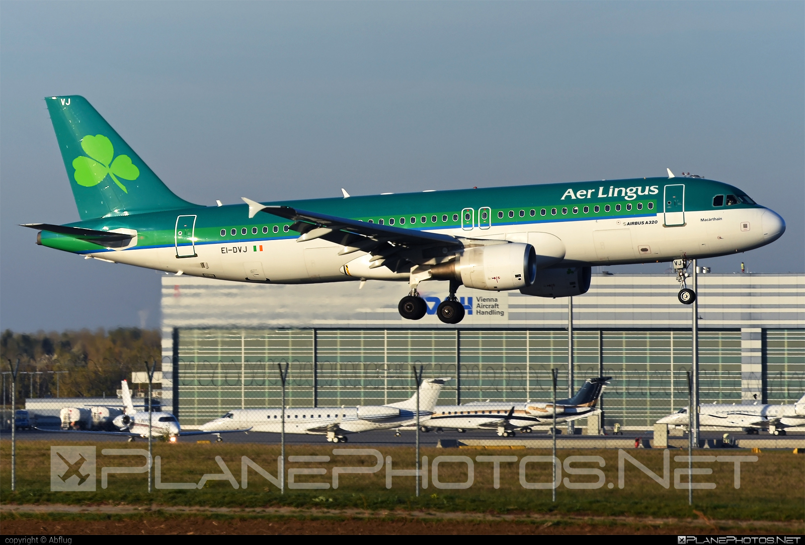 Airbus A320-214 - EI-DVJ operated by Aer Lingus #a320 #a320family #aerlingus #airbus #airbus320