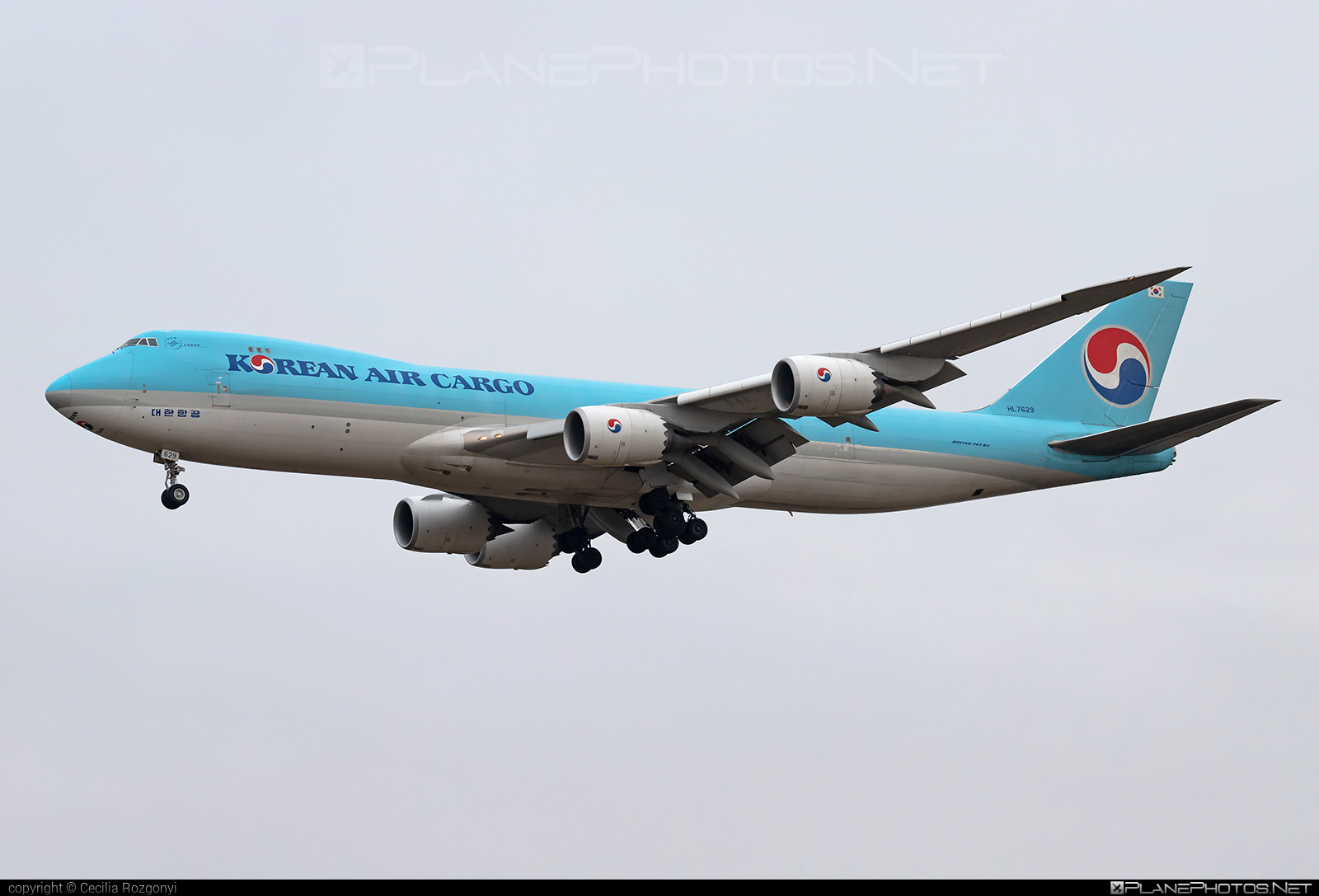 Boeing 747-8F - HL7629 operated by Korean Air Cargo #b747 #b747f #b747freighter #boeing #boeing747 #jumbo #koreanair #koreanaircargo