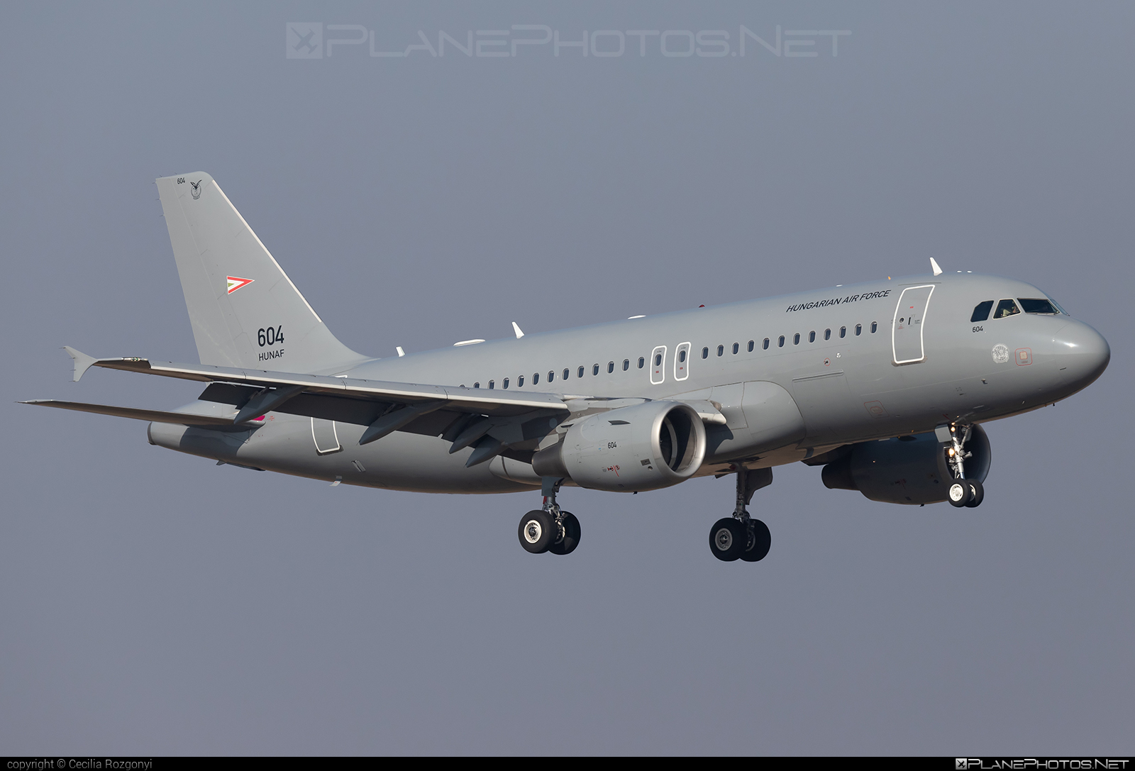 Airbus A319-112 - 604 operated by Magyar Légierő (Hungarian Air Force) #a319 #a320family #airbus #airbus319 #hungarianairforce #magyarlegiero