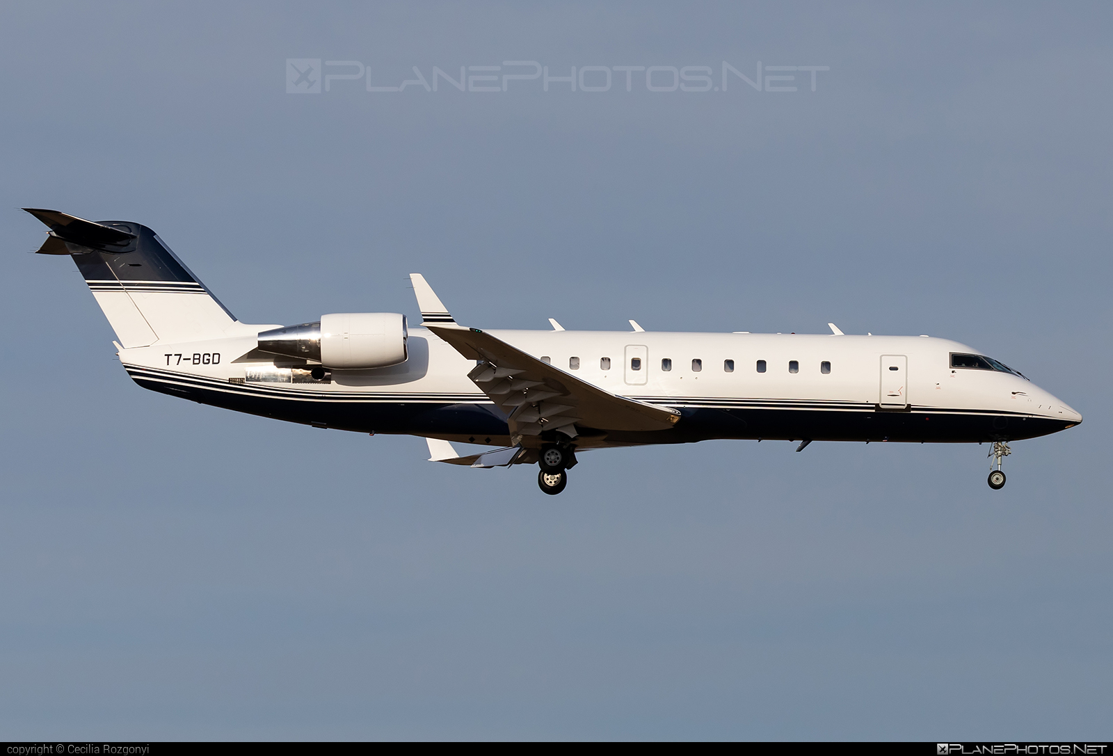 Bombardier CRJ100SE - T7-BGD operated by Private operator #bombardier #crj100 #crj100se
