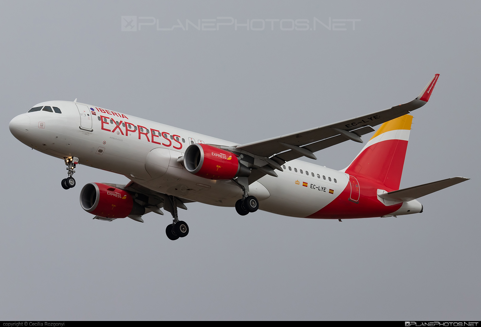 Airbus A320-216 - EC-LYE operated by Iberia Express #a320 #a320family #airbus #airbus320 #iberia #iberiaexpress