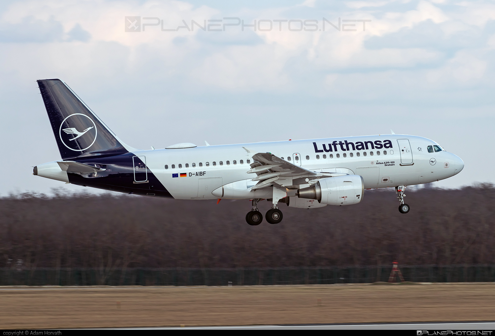 Airbus A319-112 - D-AIBF operated by Lufthansa #a319 #a320family #airbus #airbus319 #lufthansa