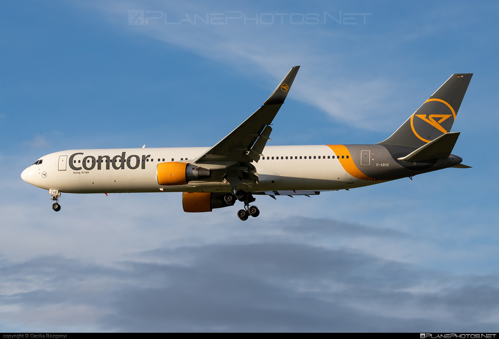 Boeing 767-300ER - D-ABUE operated by Condor #b767 #b767er #boeing #boeing767 #condor #condorAirlines