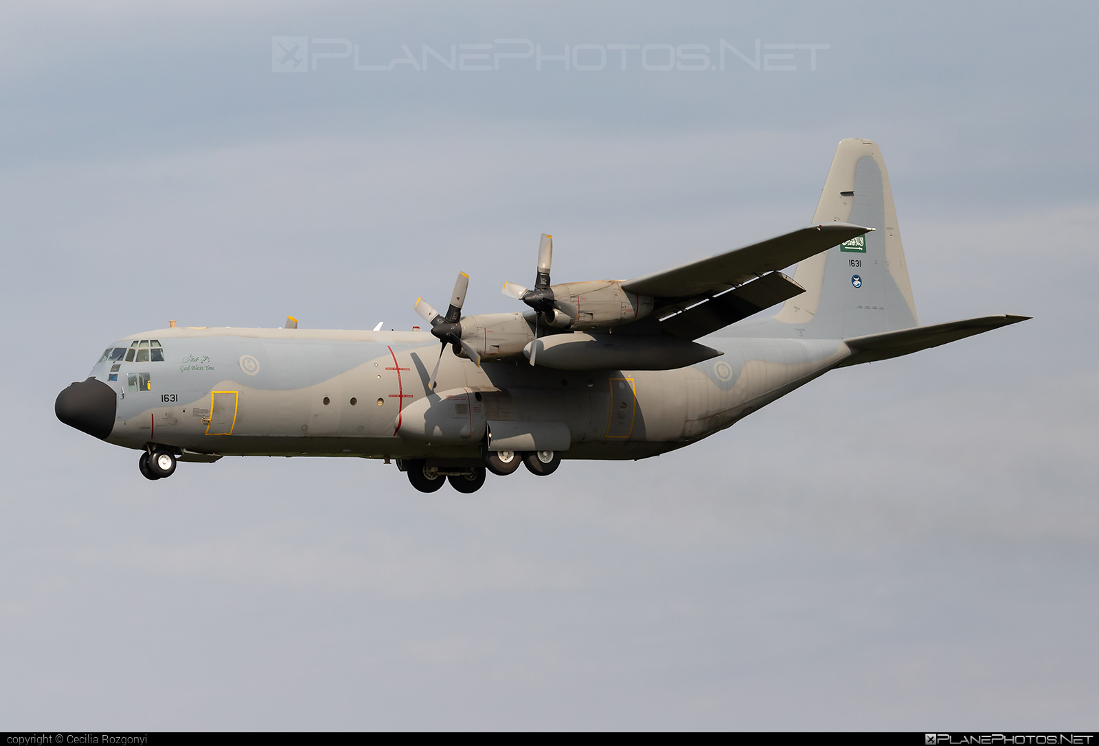 Lockheed C-130H-30 Hercules - 1631 operated by Royal Saudi Air Force #RoyalSaudiAirForce #lockheed