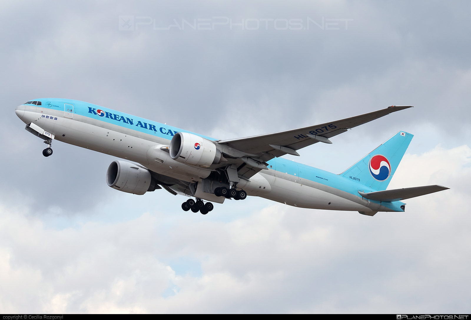 Boeing 777F - HL8075 operated by Korean Air Cargo #b777 #b777f #b777freighter #boeing #boeing777 #koreanair #koreanaircargo #tripleseven