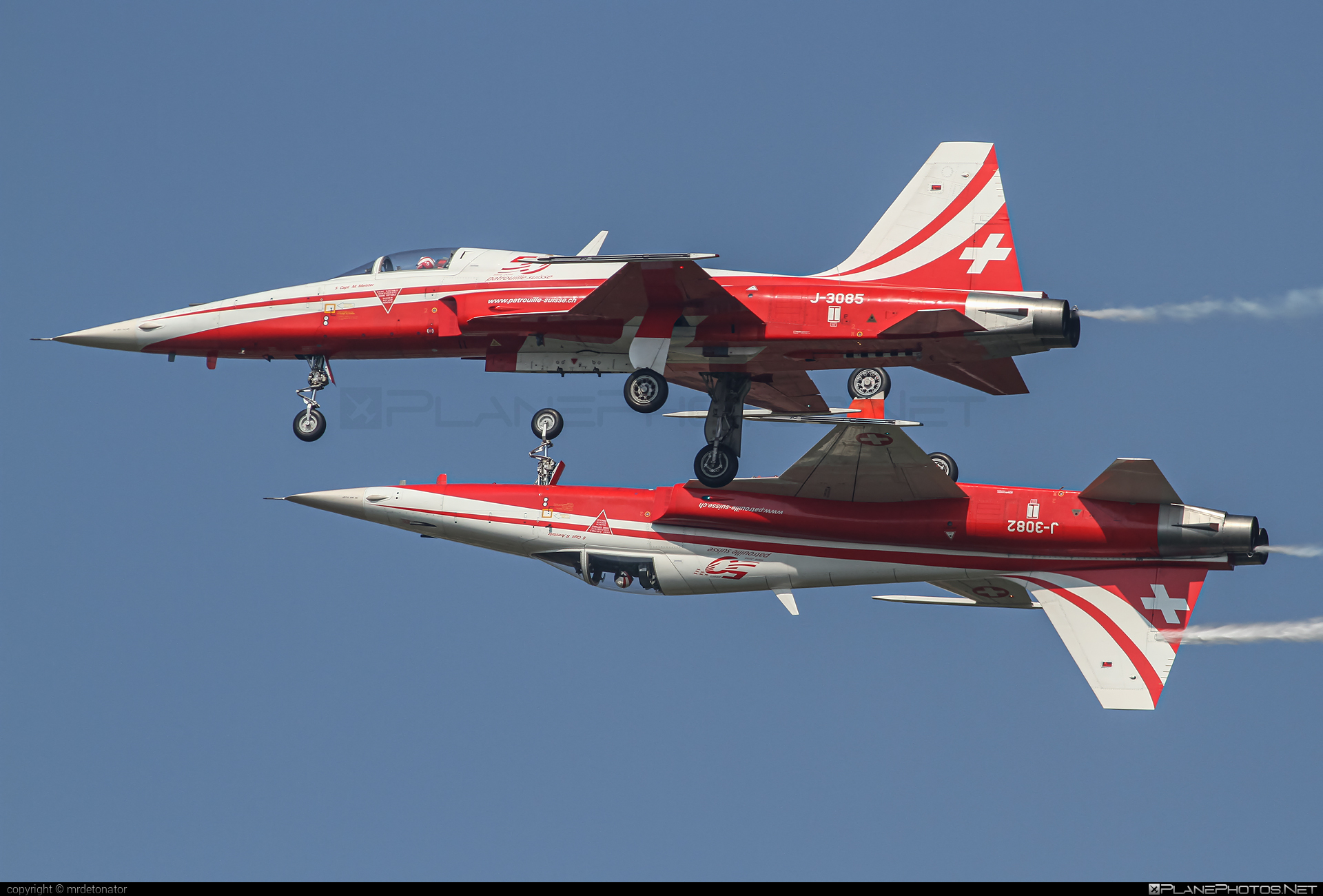 Northrop F-5E Tiger II - J-3085 operated by Schweizer Luftwaffe (Swiss Air Force) #f5etiger #northrop #northropf5 #northropf5etiger #northropf5etigerii #schweizerluftwaffe #swissairforce