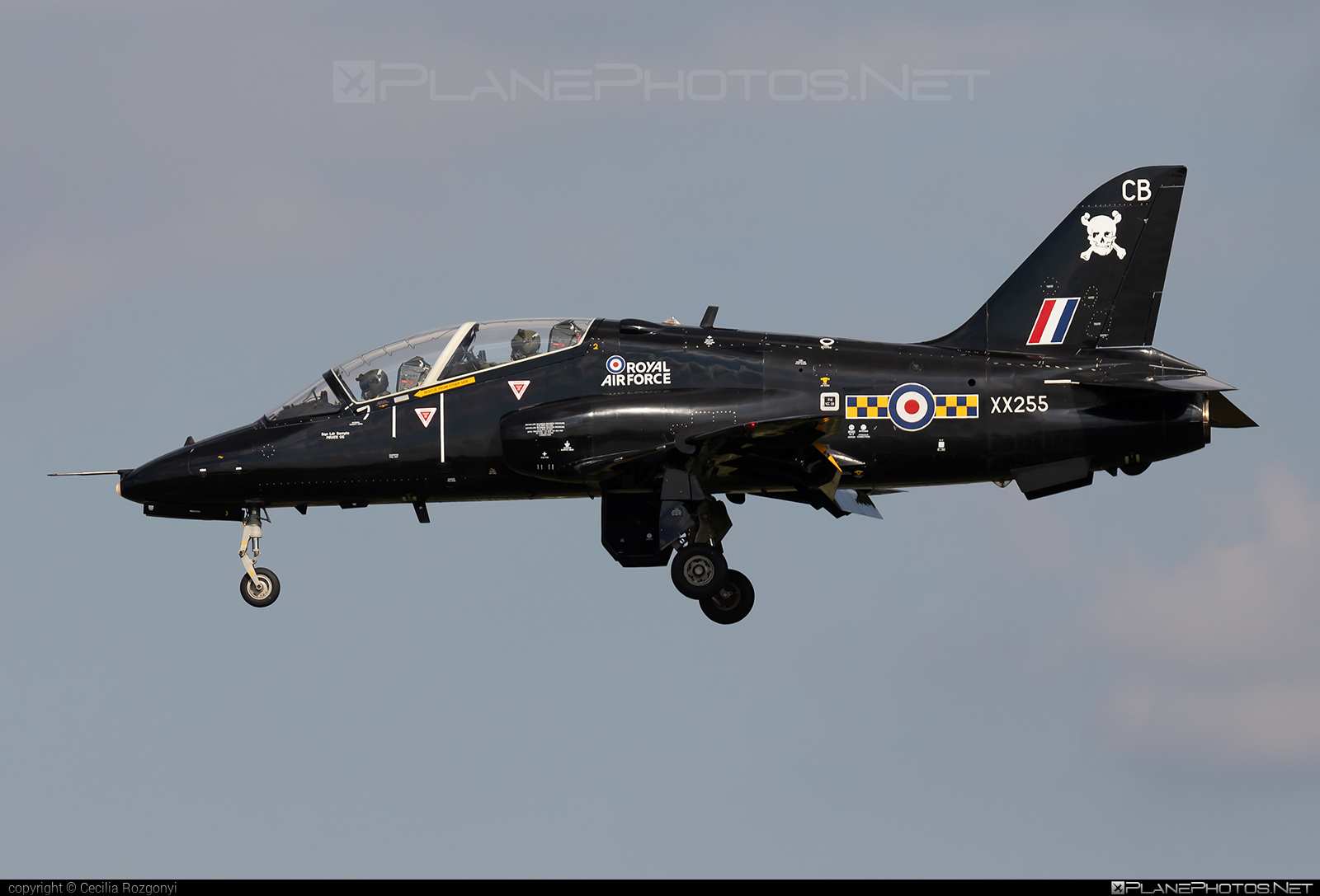 British Aerospace Hawk T1A - XX255 operated by Royal Air Force (RAF) #baehawk #britishaerospace #britishaerospacehawk #britishaerospacehawkt1a #hawkt1a #raf #royalAirForce