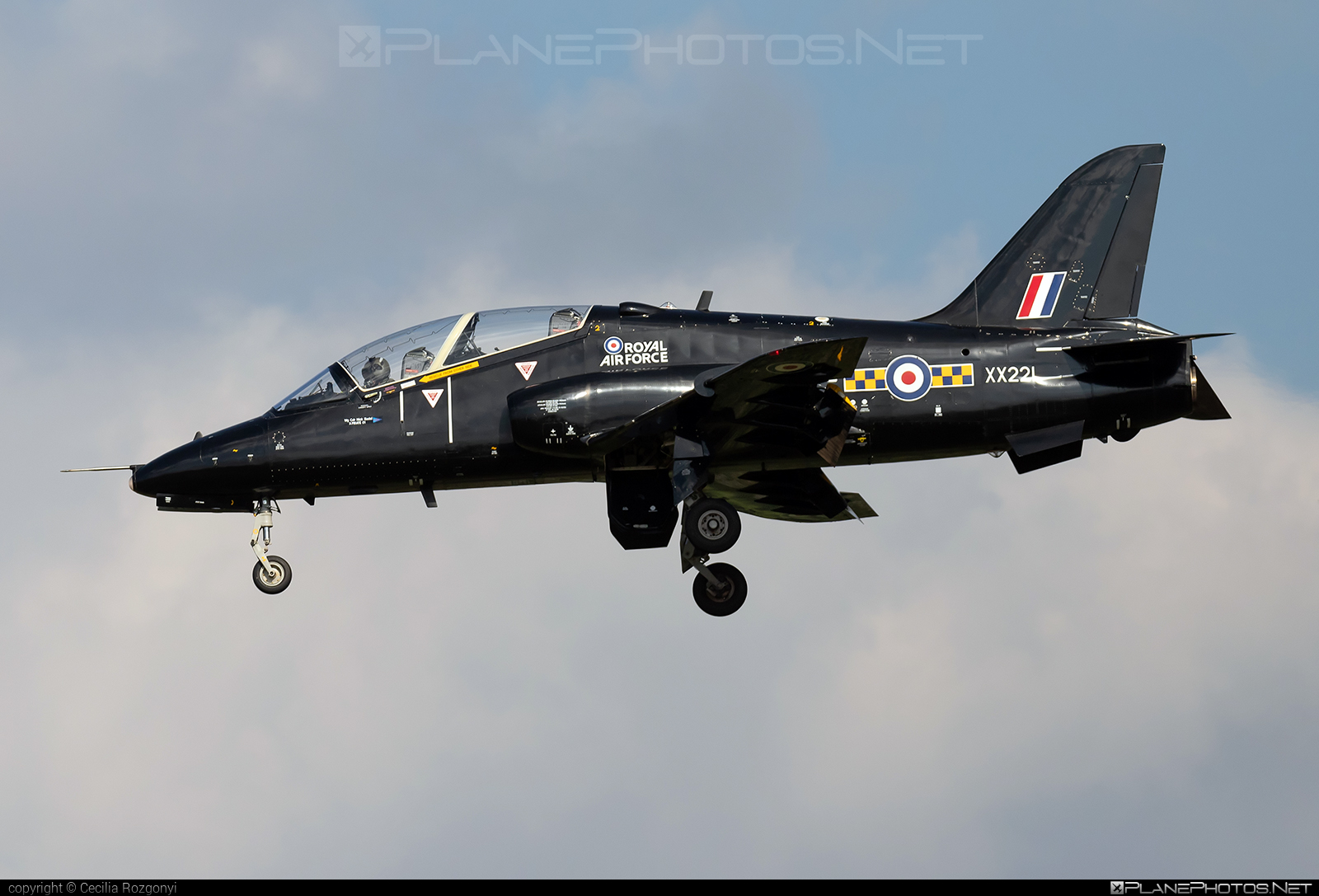 British Aerospace Hawk T1A - XX221 operated by Royal Air Force (RAF) #baehawk #britishaerospace #britishaerospacehawk #britishaerospacehawkt1a #hawkt1a #kecskemetairshow2021 #raf #royalAirForce
