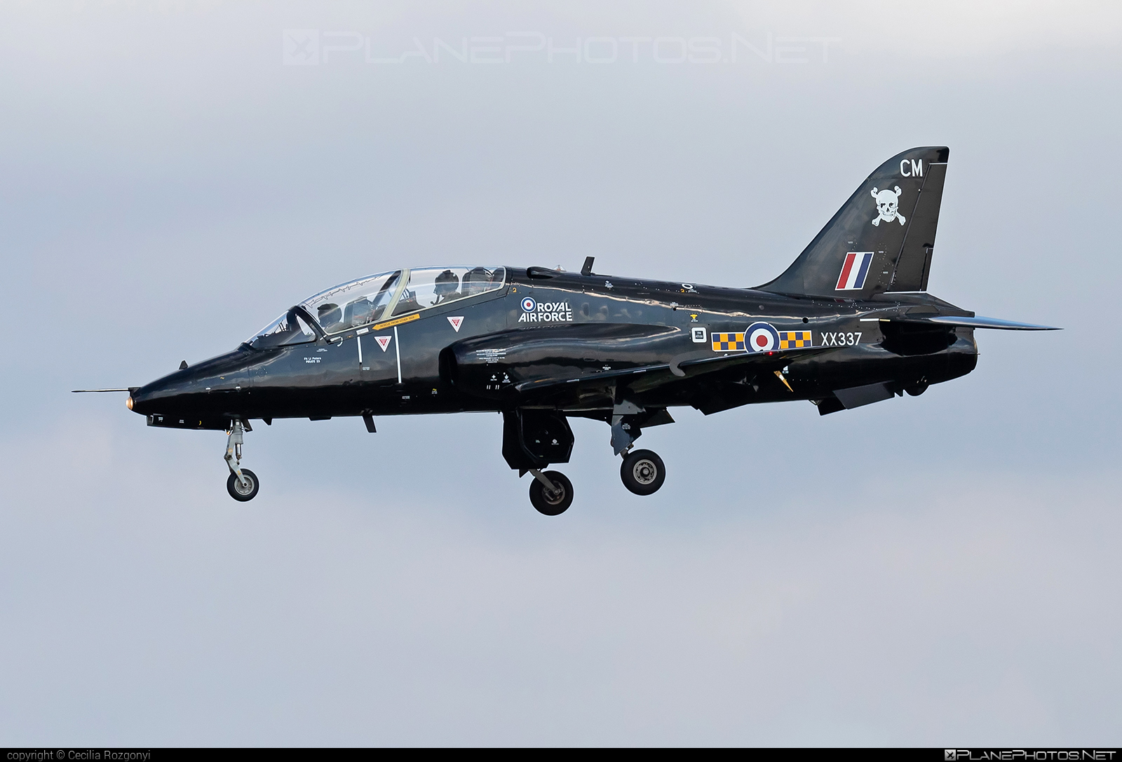 British Aerospace Hawk T1A - XX337 operated by Royal Air Force (RAF) #baehawk #britishaerospace #britishaerospacehawk #britishaerospacehawkt1a #hawkt1a #kecskemetairshow2021 #raf #royalAirForce