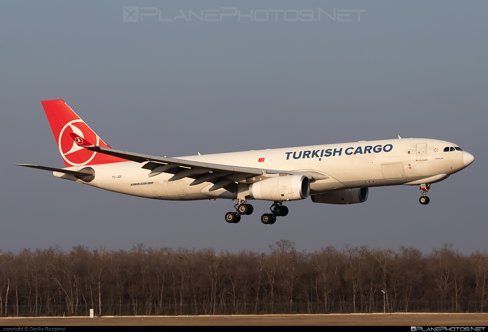 Airbus A330-243F - TC-JDS operated by Turkish Airlines Cargo #a330 #a330f #a330family #airbus #airbus330 #turkishairlinescargo