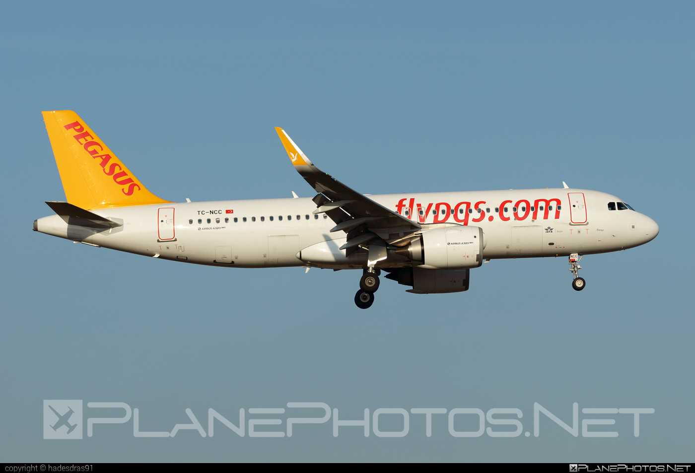 Airbus A320-251N - TC-NCC operated by Pegasus Airlines #PegasusAirlines #a320 #a320family #a320neo #airbus #airbus320 #flypgs
