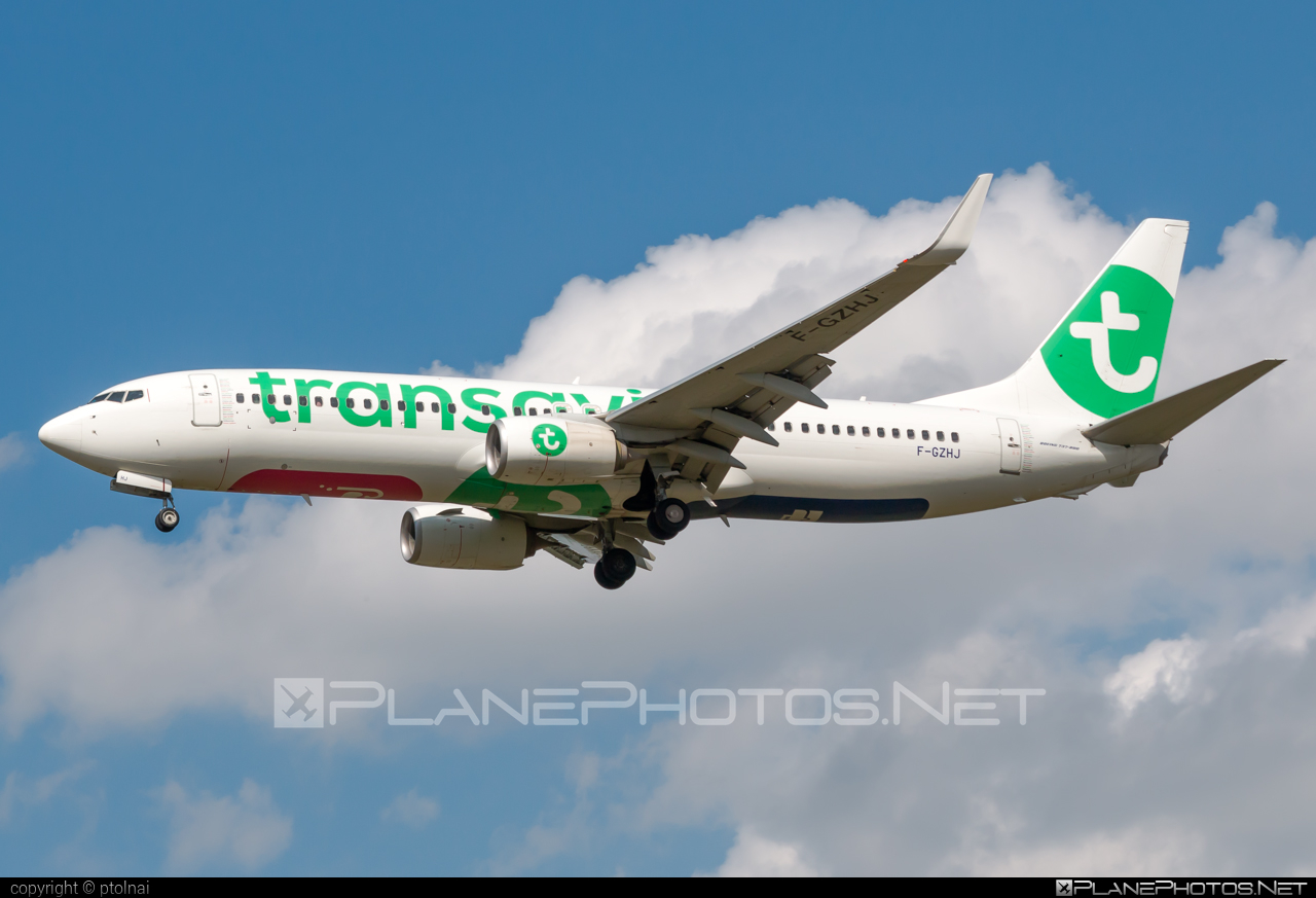 Boeing 737-800 - F-GZHJ operated by Transavia France #b737 #b737nextgen #b737ng #boeing #boeing737 #transavia #transaviaFrance