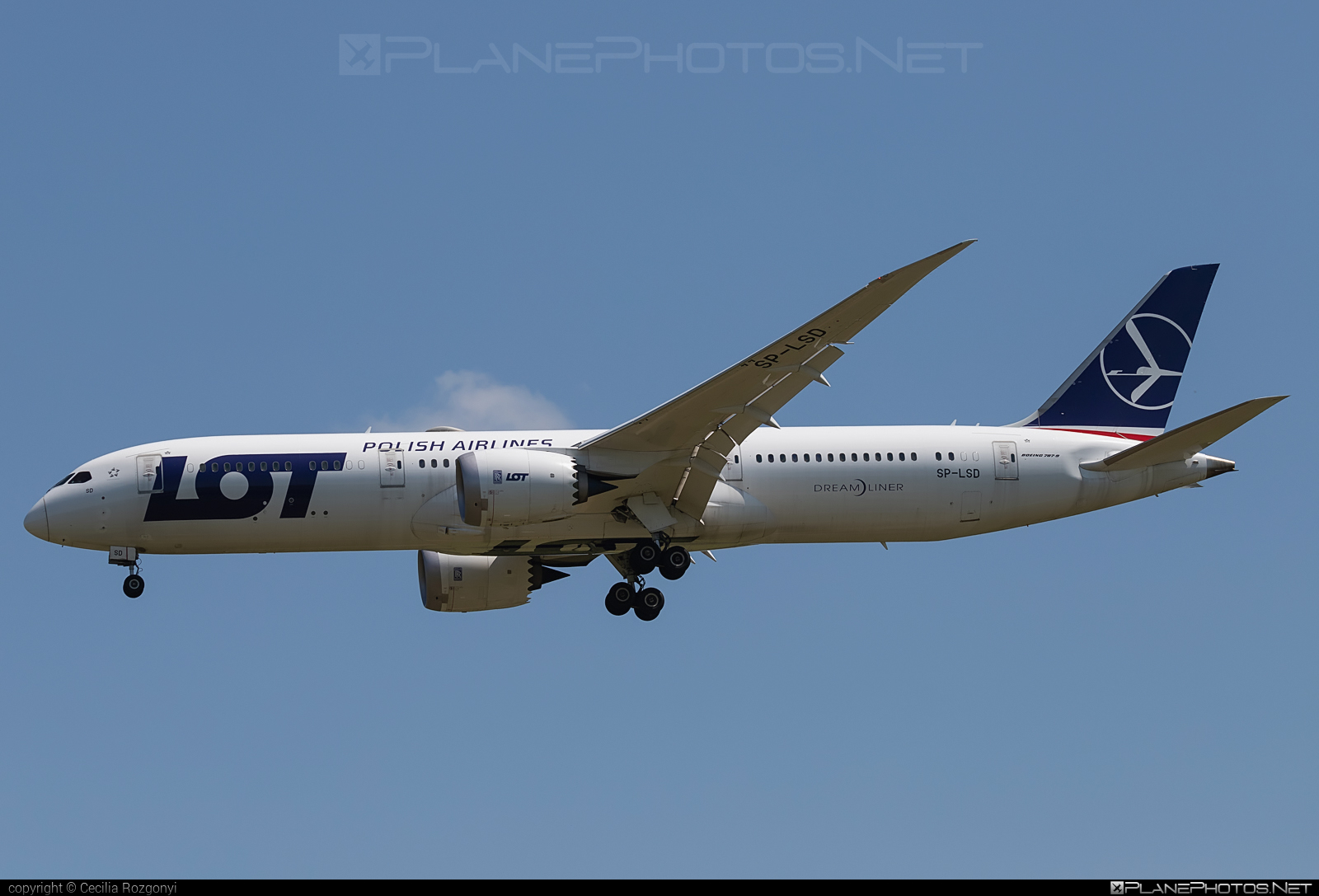 Boeing 787-9 Dreamliner - SP-LSD operated by LOT Polish Airlines #b787 #boeing #boeing787 #dreamliner #lot #lotpolishairlines