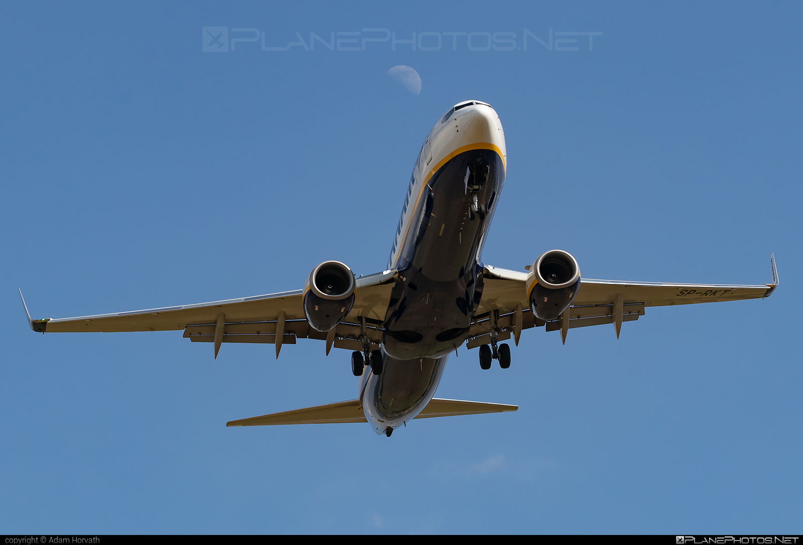 Boeing 737-800 - SP-RKT operated by Ryanair Sun #b737 #b737nextgen #b737ng #boeing #boeing737 #ryanair #ryanairsun