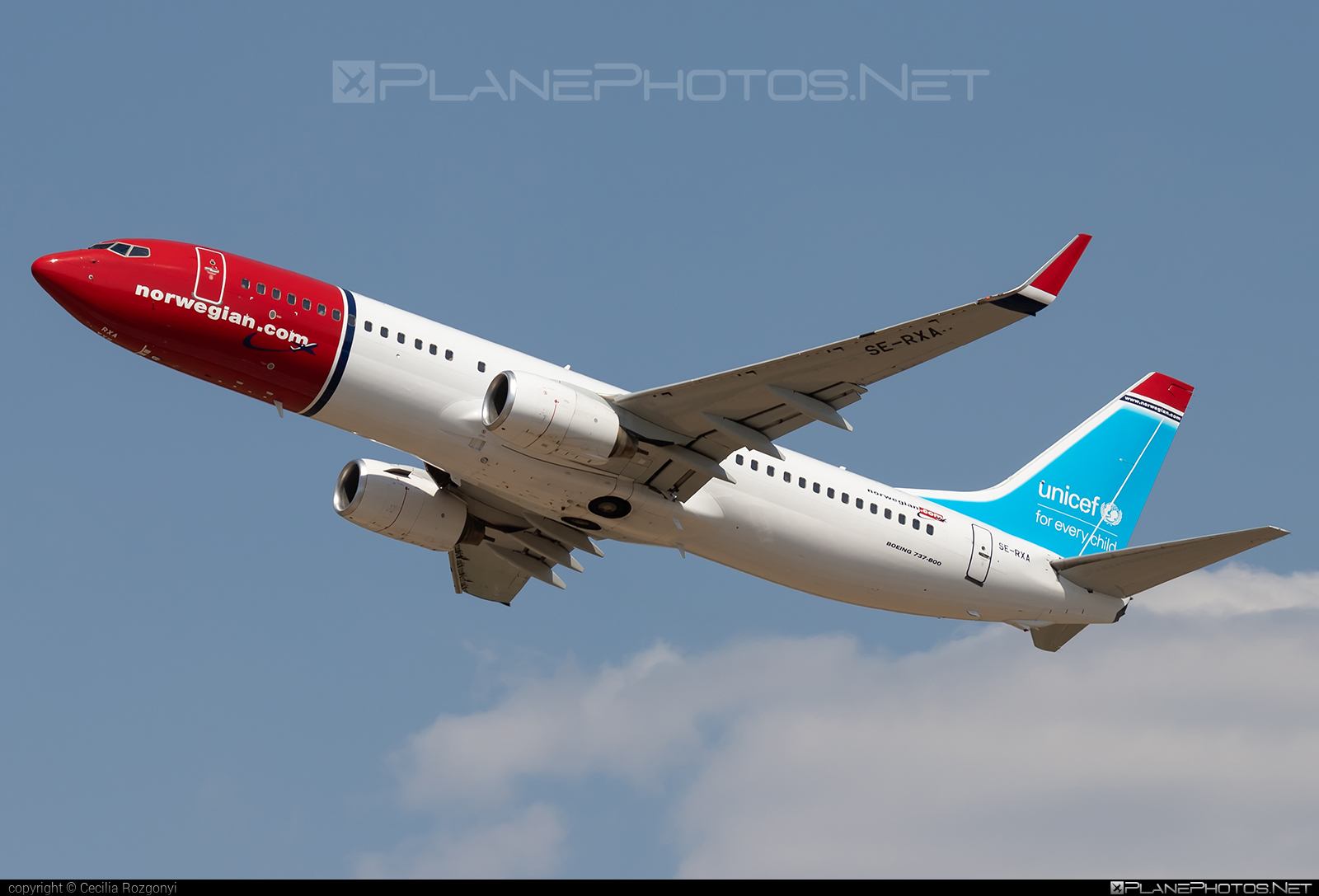 Boeing 737-800 - SE-RXA operated by Norwegian Air Shuttle #b737 #b737nextgen #b737ng #boeing #boeing737 #norwegian #norwegianair #norwegianairshuttle