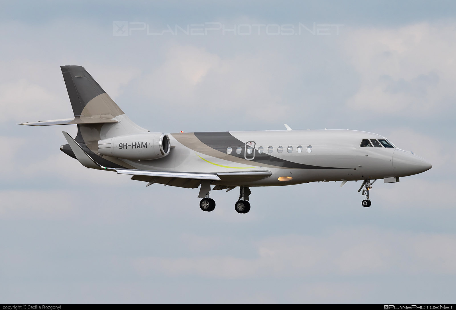 Dassault Falcon 2000LX - 9H-HAM operated by Avcon Jet Malta #avconjet #avconjetmalta #dassault #dassaultfalcon #dassaultfalcon2000 #dassaultfalcon2000lx #falcon2000 #falcon2000lx