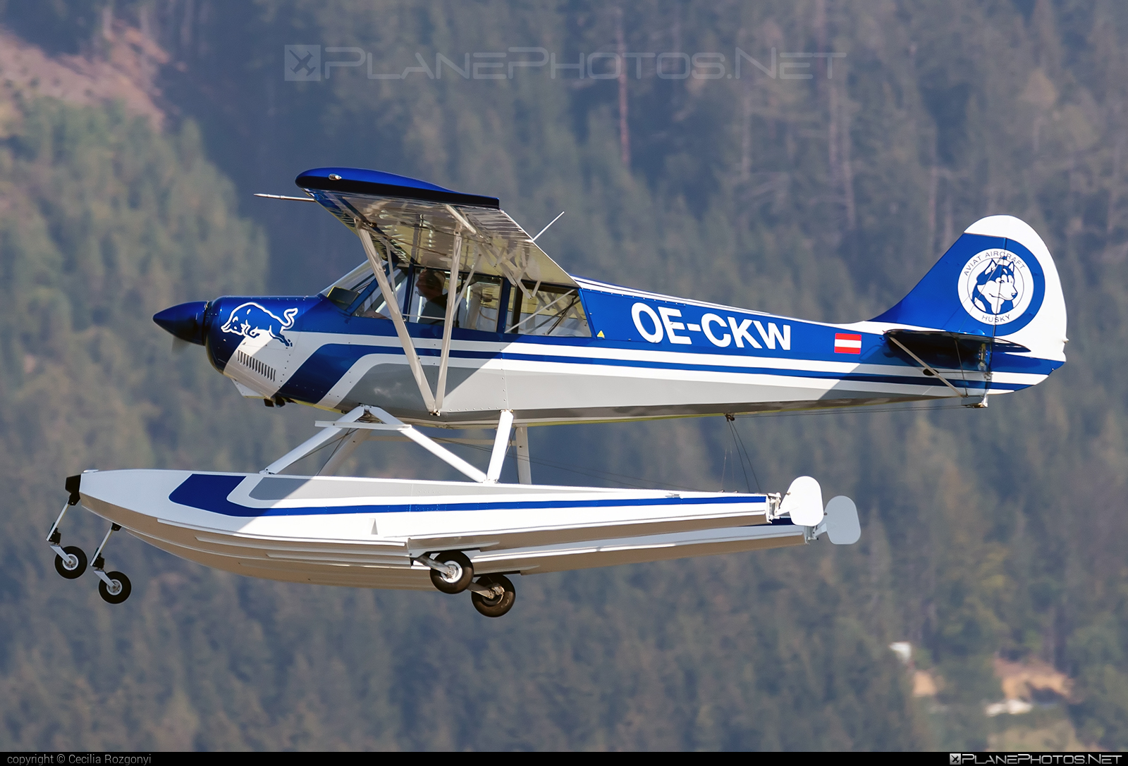 Aviat Husky A-1B - OE-CKW operated by The Flying Bulls #airpower2022 #aviathusky #aviathuskya1 #aviathuskya1b #huskya1b #theflyingbulls