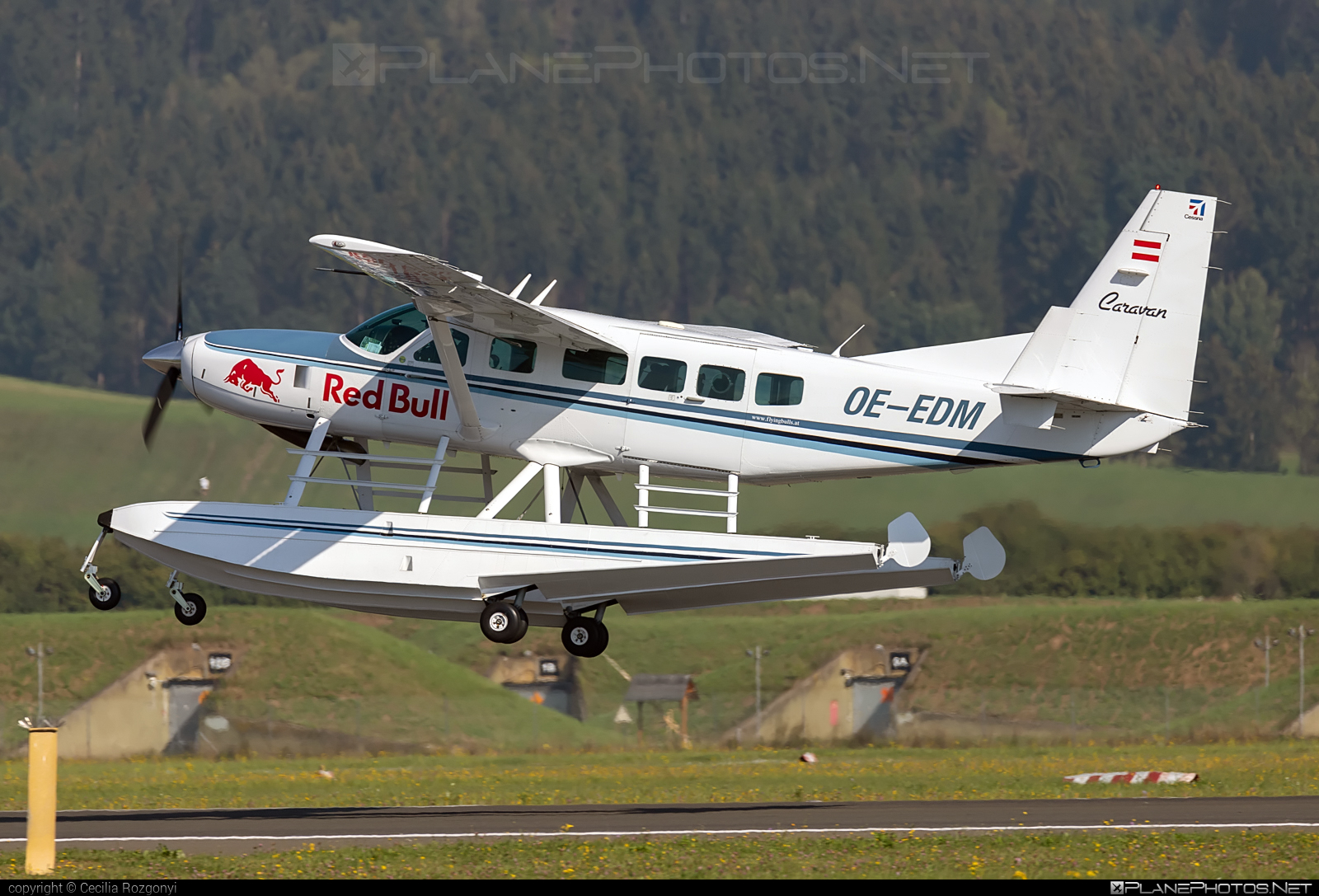 Cessna 208 Caravan I - OE-EDM operated by The Flying Bulls #cessna #cessna208 #cessna208caravan #cessna208caravani #cessnacaravan #theflyingbulls