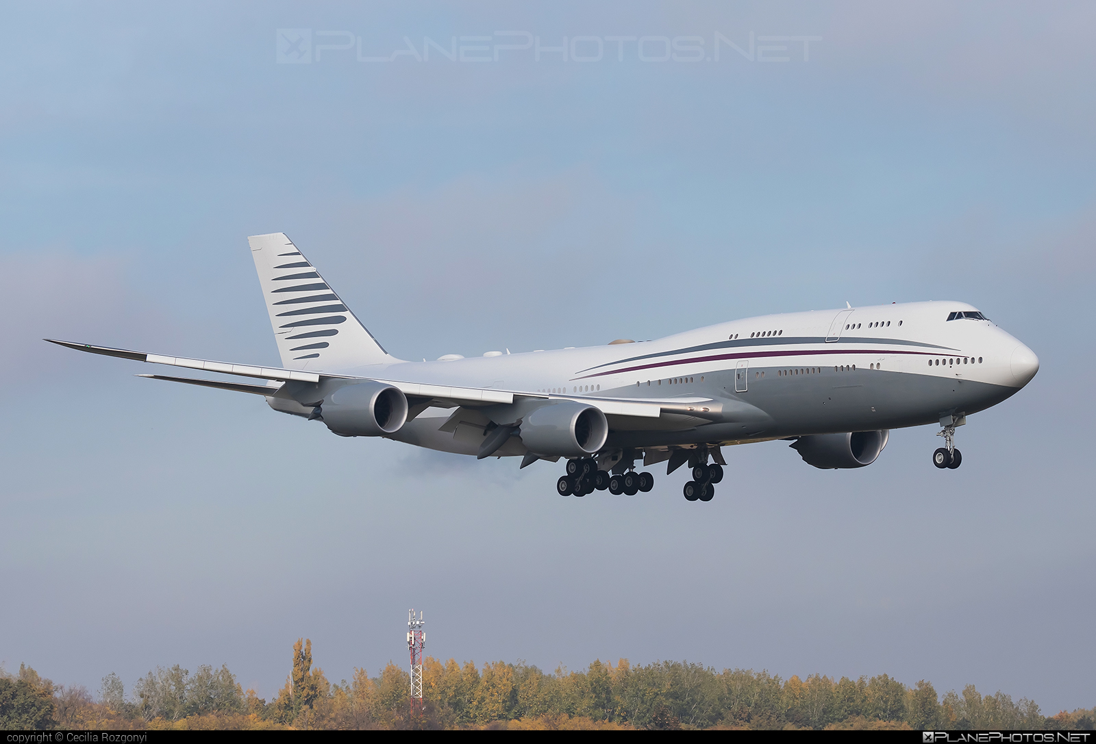 Boeing 747-8 - A7-HBJ operated by Qatar Amiri Flight #b747 #b7478 #boeing #boeing747 #boeing7478 #jumbo #qataramiriflight