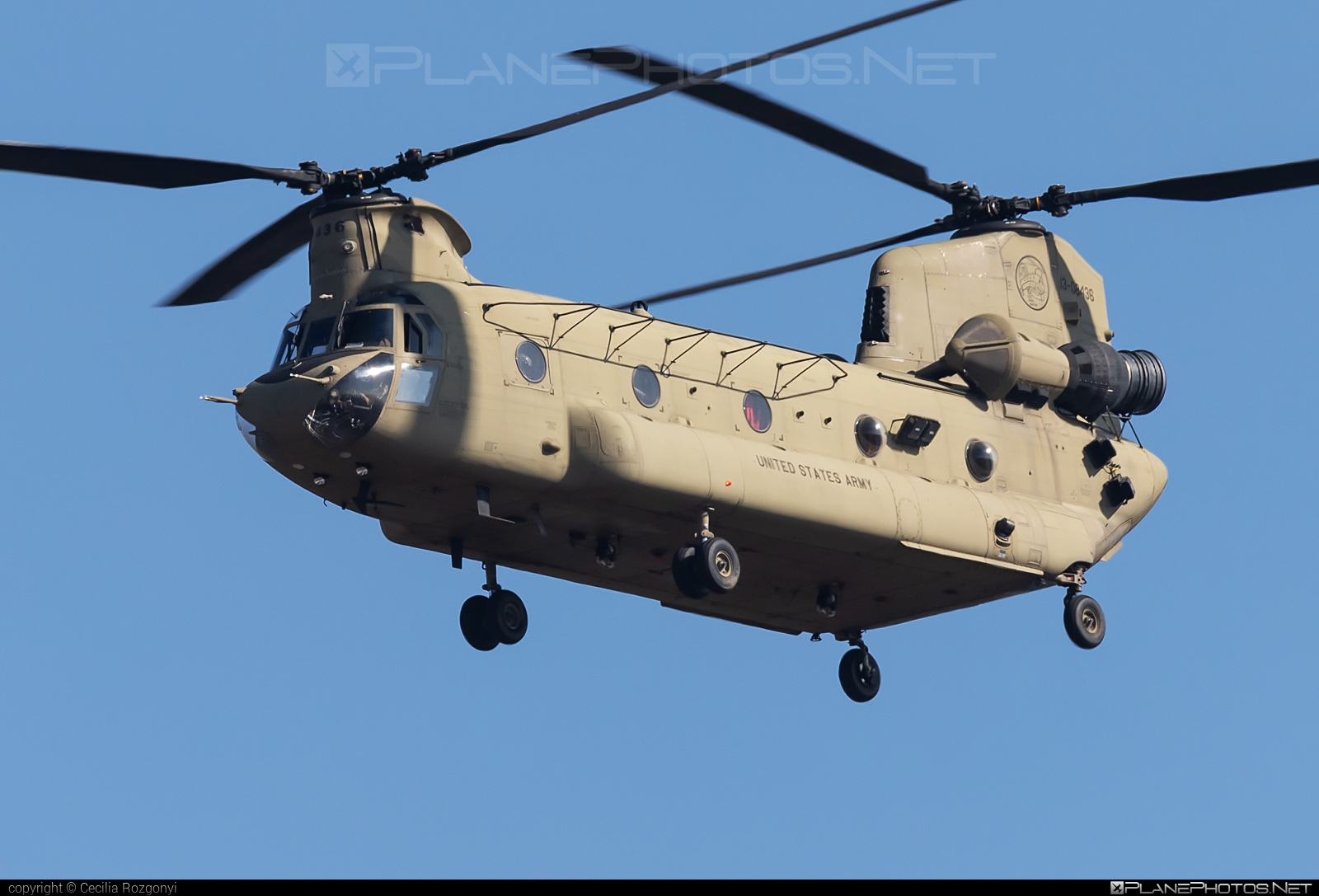 Boeing CH-47F Chinook - 13-08436 operated by US Army #boeing #usarmy