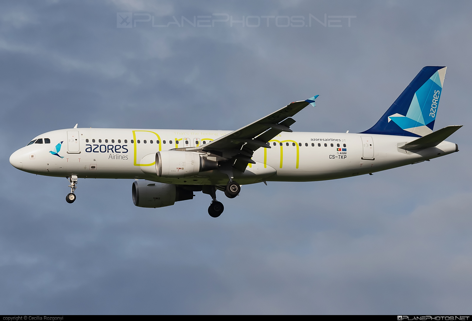 Airbus A320-214 - CS-TKP operated by Azores Airlines #BudapestFerencLisztIntl #a320 #a320family #airbus #airbus320 #azoresairlines