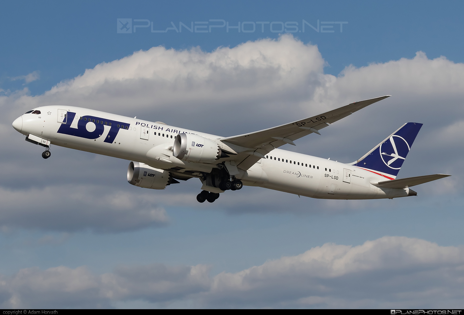 Boeing 787-9 Dreamliner - SP-LSD operated by LOT Polish Airlines #BudapestFerencLisztIntl #b787 #boeing #boeing787 #dreamliner #lot #lotpolishairlines