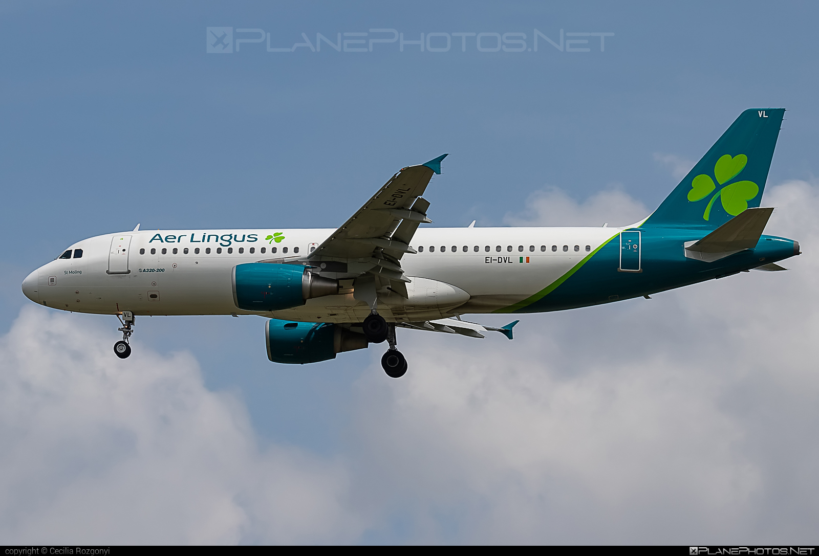 Airbus A320-214 - EI-DVL operated by Aer Lingus #a320 #a320family #aerlingus #airbus #airbus320