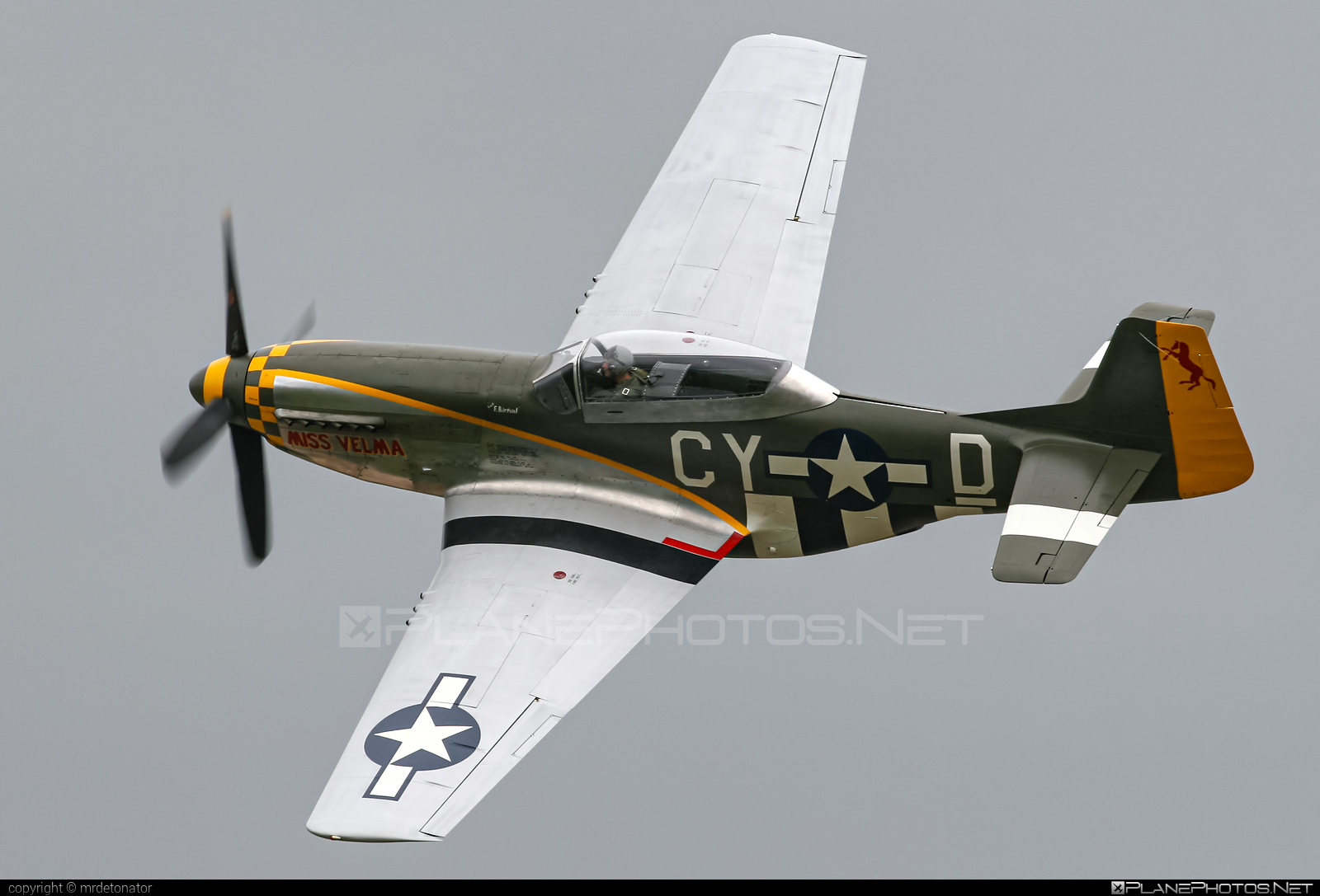 North American P-51D Mustang - N251RJ operated by Private operator #northamerican