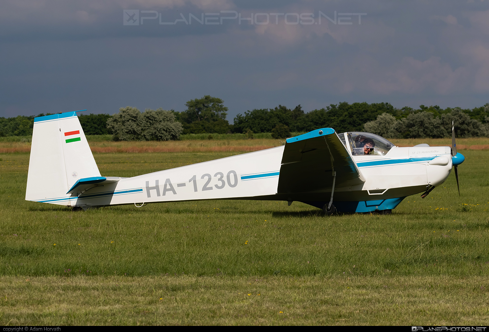 Scheibe SF-25C Falke - HA-1230 operated by Private operator #scheibe #scheibefalke #sf25 #sf25c