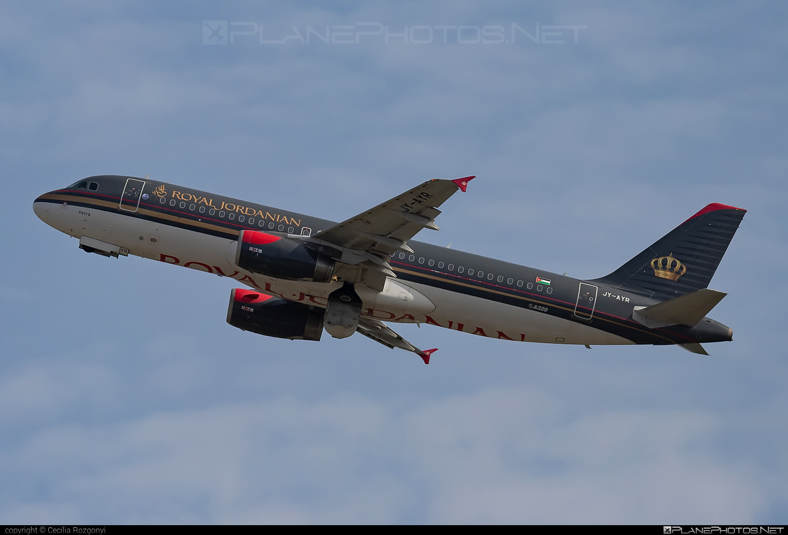 Airbus A320-232 - JY-AYR operated by Royal Jordanian #a320 #a320family #airbus #airbus320