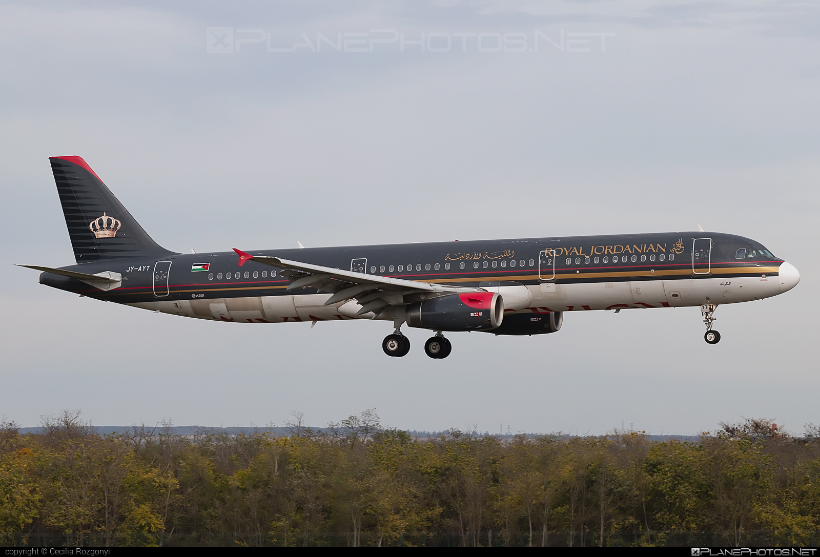 Airbus A321-231 - JY-AYT operated by Royal Jordanian #a320family #a321 #airbus #airbus321