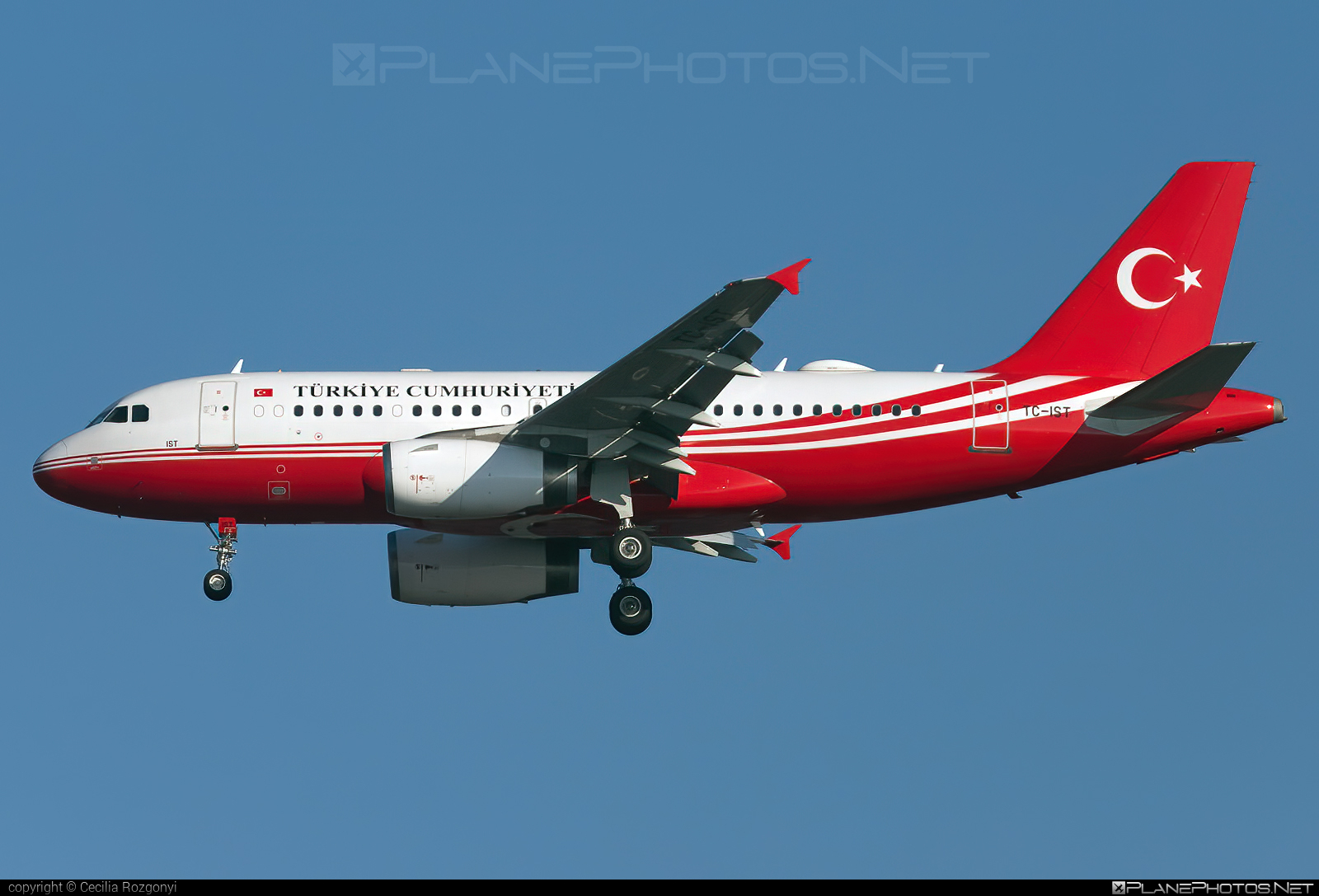 Airbus A319-133 - TC-IST operated by Turkey - Government #a319 #a320family #airbus #airbus319