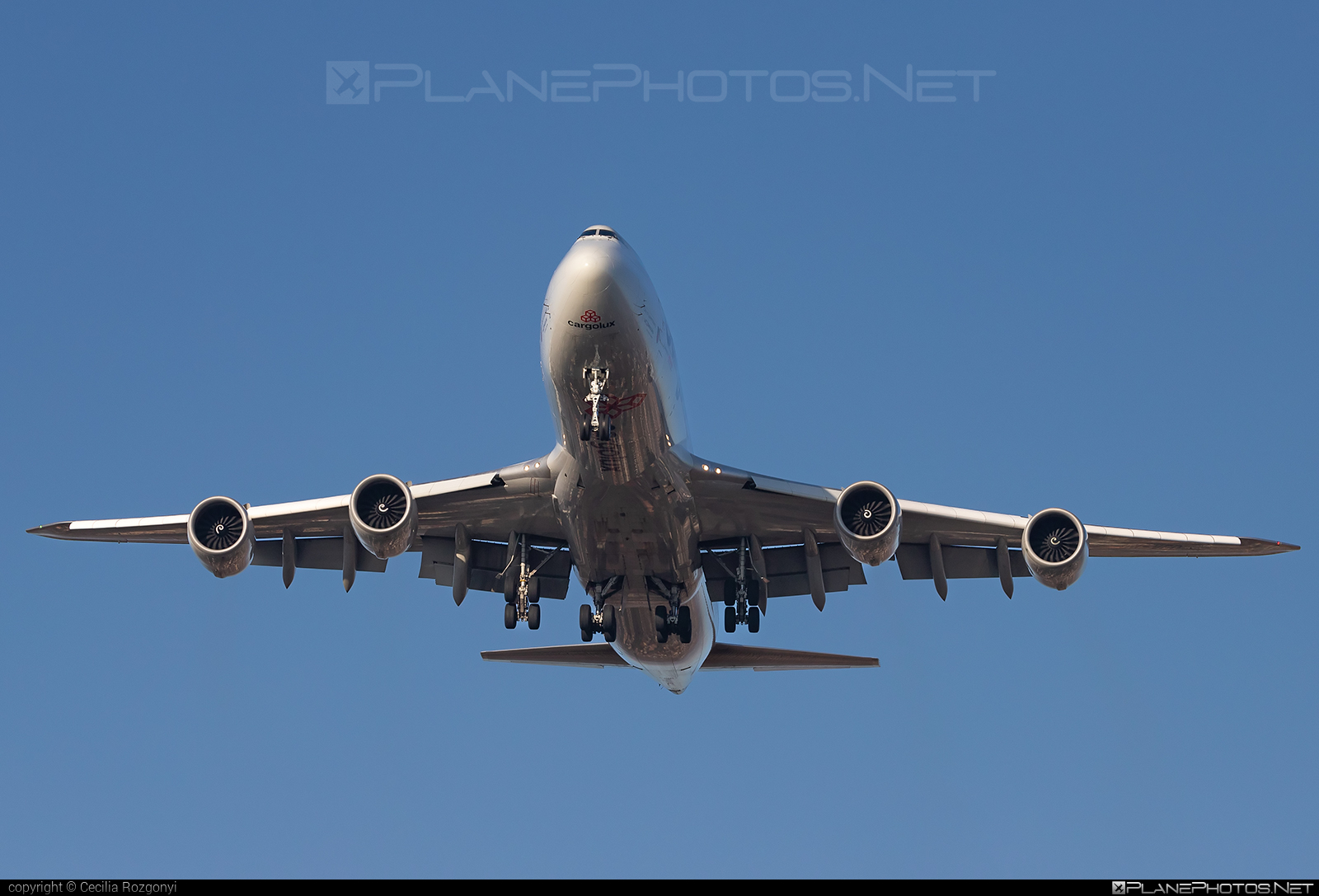 LX-VCD - Boeing 747-8F operated by Cargolux Airlines International