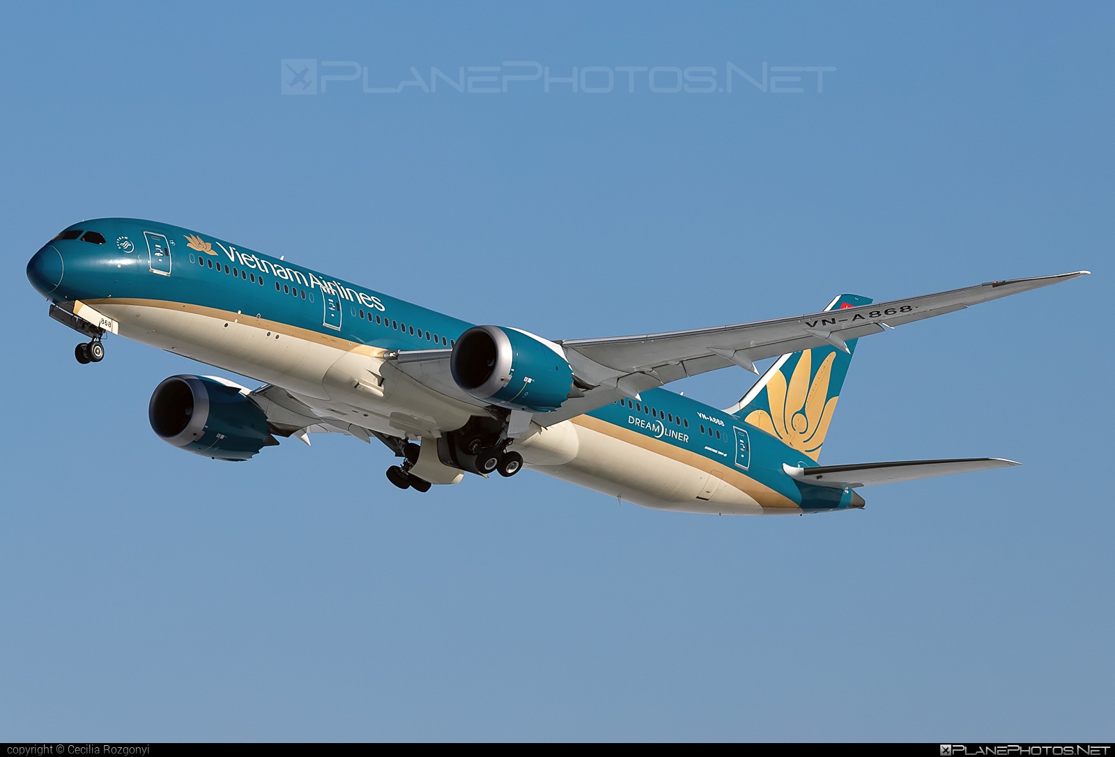 Boeing 787-9 Dreamliner - VN-A868 operated by Vietnam Airlines #b787 #boeing #boeing787 #dreamliner