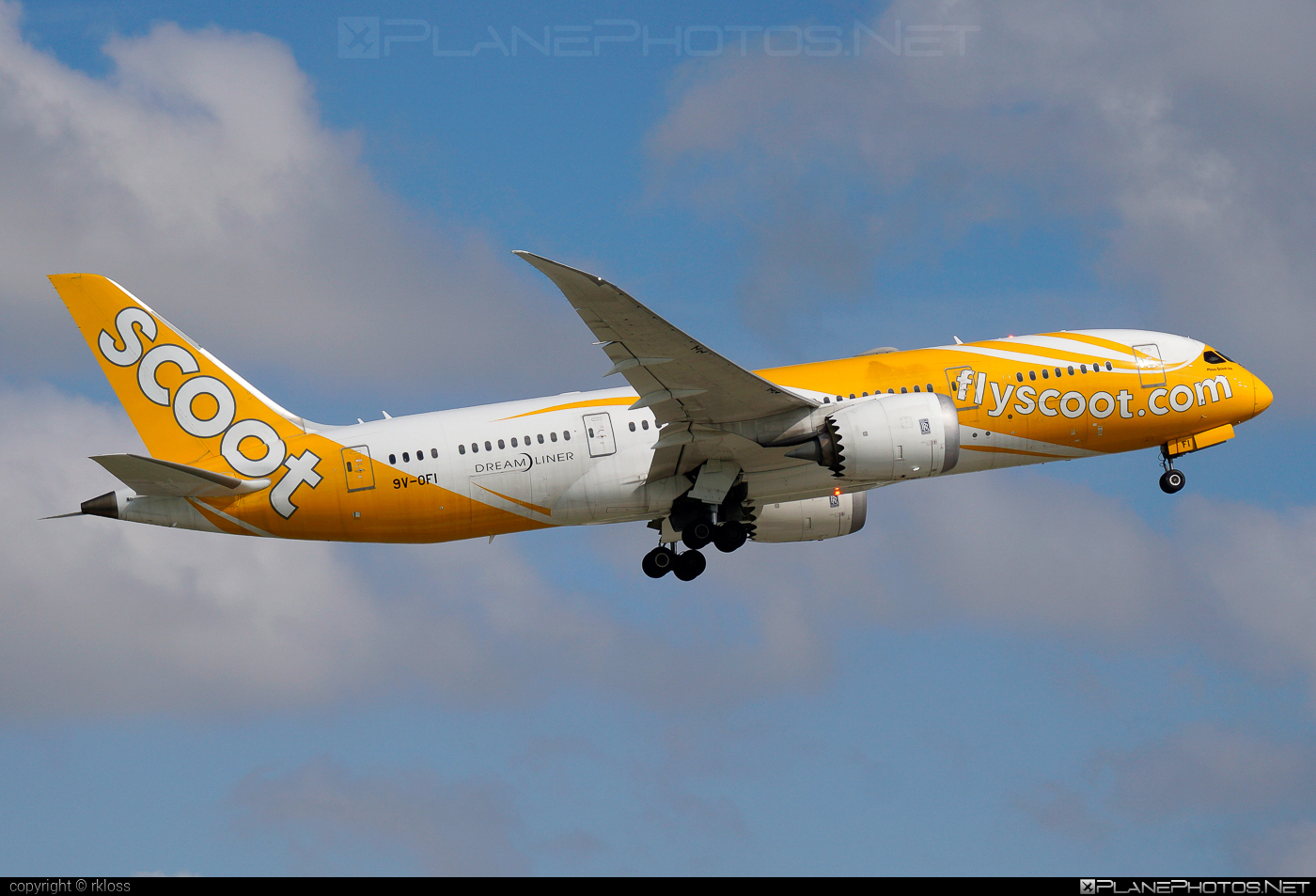 Boeing 787-8 Dreamliner - 9V-OFI operated by Scoot #b787 #boeing #boeing787 #dreamliner