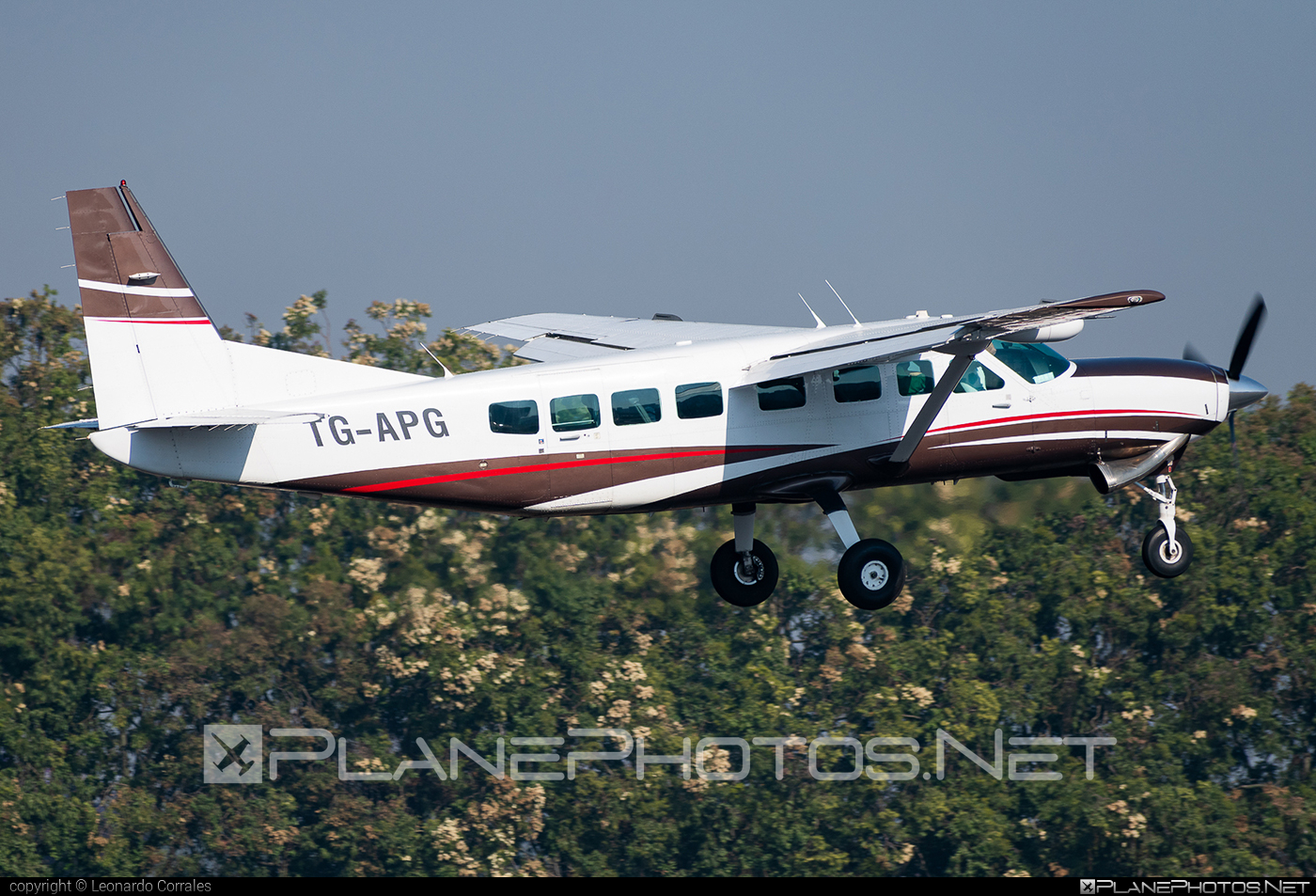 Cessna 208B Grand Caravan - TG-APG operated by ARM Aviación #aeroRutaMaya #armAviacion #cessna #cessna208 #cessna208b #cessna208caravan #cessna208grandcaravan #cessnacaravan #cessnagrandcaravan
