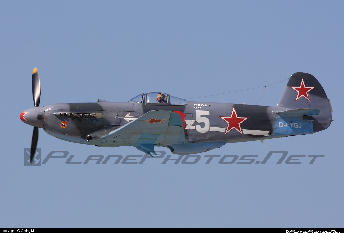 Yakovlev Yak-3UA - D-FYGJ operated by Private operator #yak #yak3 #yak3ua #yakovlev