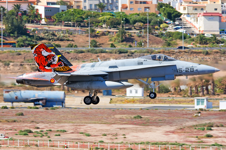 McDonnell Douglas EF-18M Hornet - C.15-41 operated by Ejército del Aire (Spanish Air Force)
