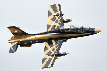 Aermacchi MB-339NAT - 438 operated by United Arab Emirates Air Force