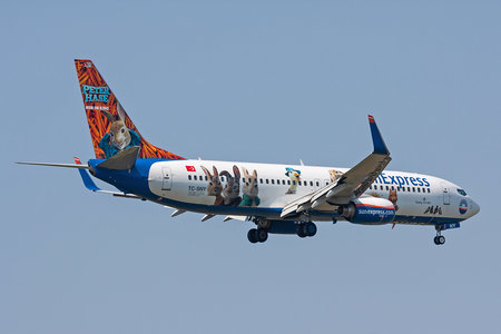 Boeing 737-800 - TC-SNY operated by SunExpress