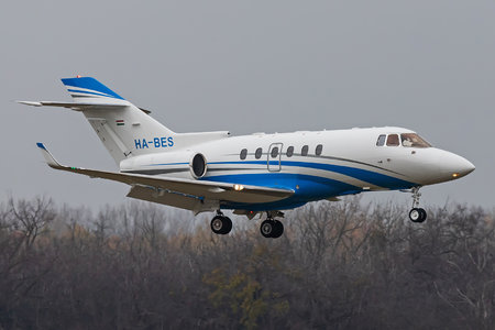 Raytheon Hawker 800XP - HA-BES operated by Private operator