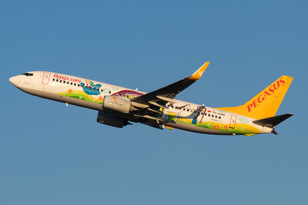 Boeing 737-800 - TC-CPN operated by Pegasus Airlines
