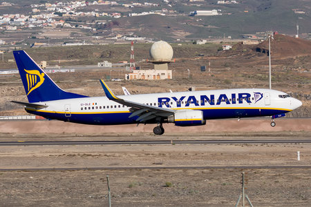 Boeing 737-800 - EI-DLE operated by Ryanair