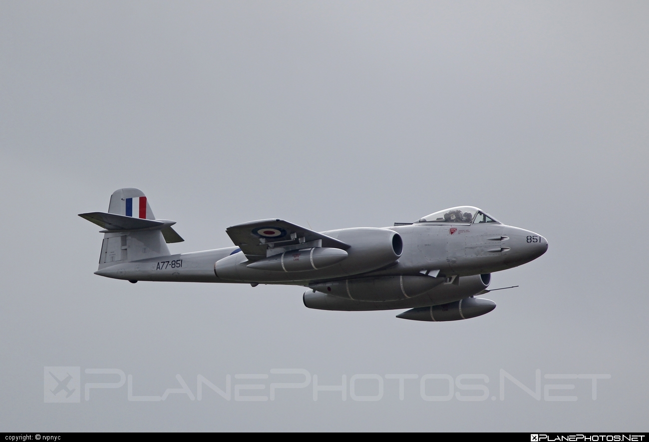 Gloster Meteor F.8 - VH-MBX operated by Private operator #gloster