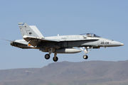 McDonnell Douglas EF-18A+ Hornet - C.15-80 operated by Ejército del Aire (Spanish Air Force)