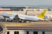 Boeing 787-8 Dreamliner - V8-DLE operated by Royal Brunei Airlines